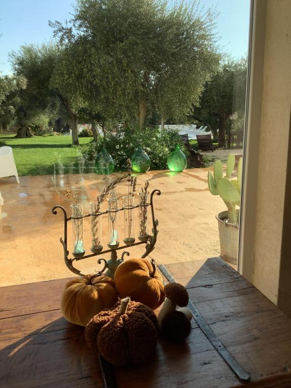 Giardino e Uliveto
